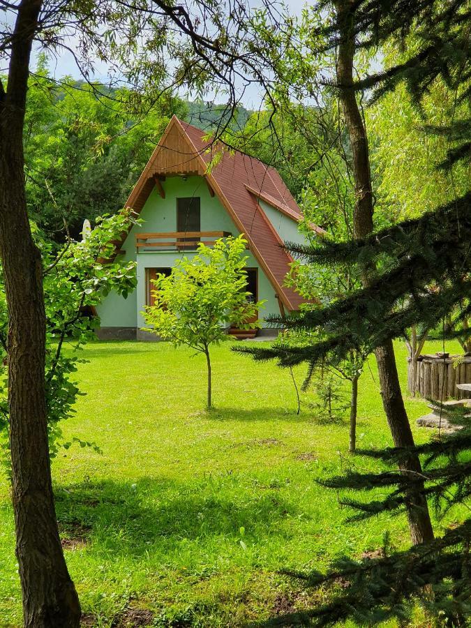 Kamilla Kulcsoshaz Villa Sub Cetate Exteriör bild